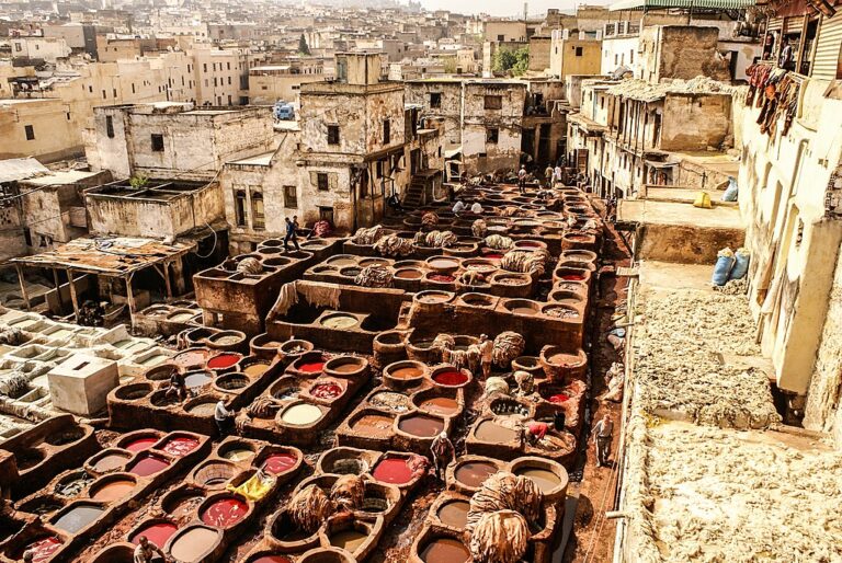 Tanneries of Fes, Morocco, Africa Old tanks of the Fez's tanneries with color paint for leather, Morocco, Africa