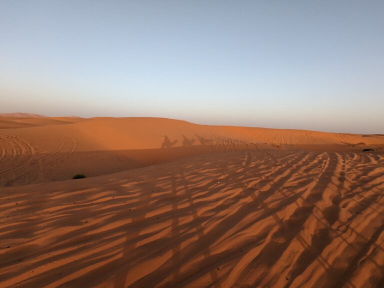 Merzouga - Sand Dunes Camel Shadow 01