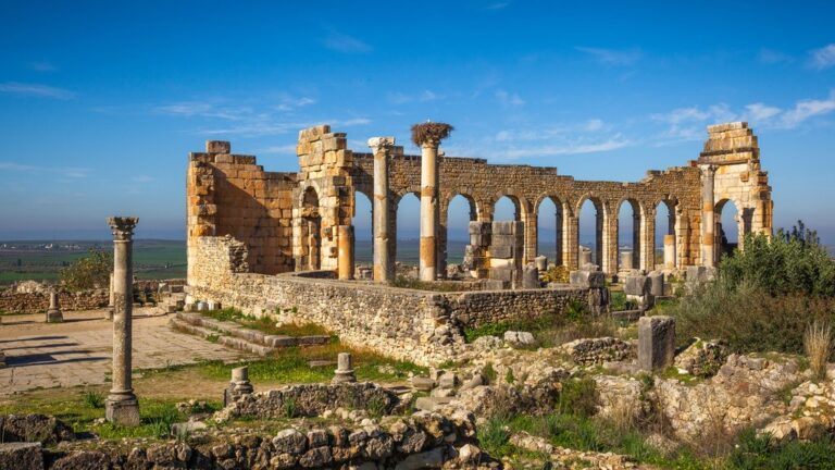 Volubilis - Roman Ruins 01