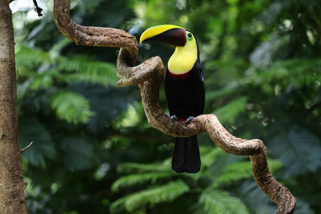 pexels-veronika-andrews-2153322013-35098816