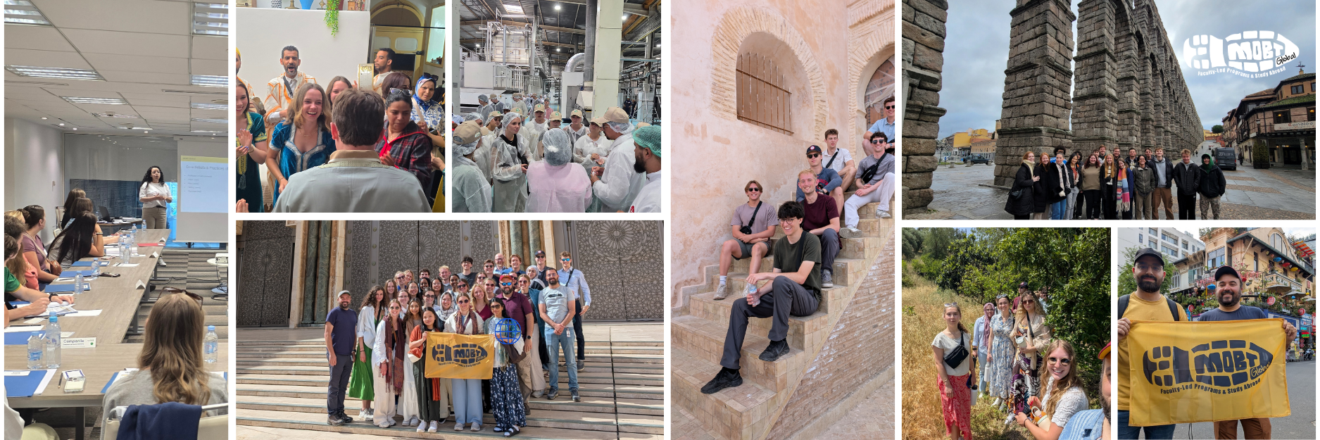 MOBT Global Program Proposal