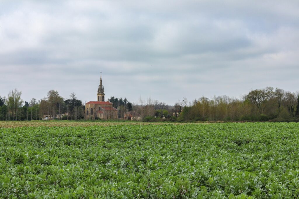 pexels-firststepkit-12146739