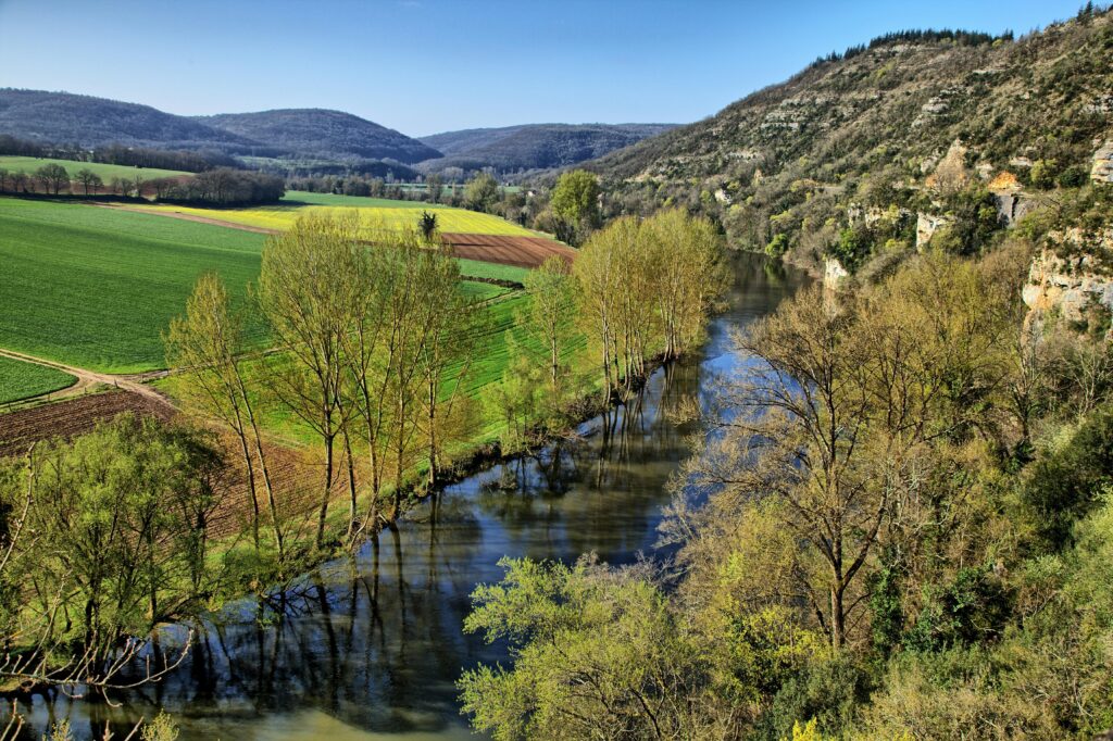 pexels-philippe-serrand-337910945-20175613